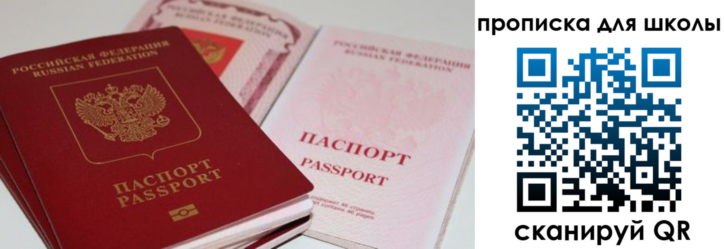 прописка для школы в Приморском крае